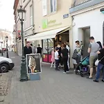 Appartement Nid Perche En Triplex - Centre - Wi-fi Haguenau