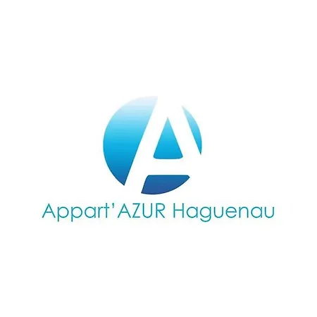 Nid Perche En Triplex - Centre - Wi-fi * Haguenau