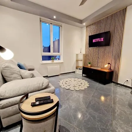Nid Perche En Triplex - Centre - Wi-fi Apartment Haguenau