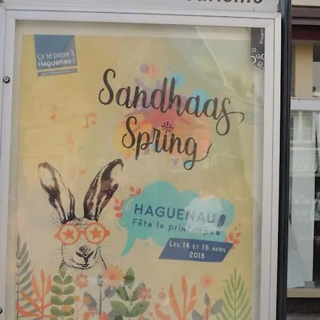 Lejlighed Nid Perche En Triplex - Centre - Wi-fi