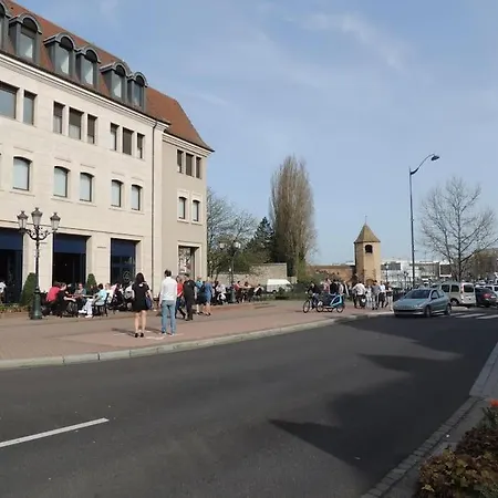 Nid Perche En Triplex - Centre - Wi-fi Apartment Haguenau