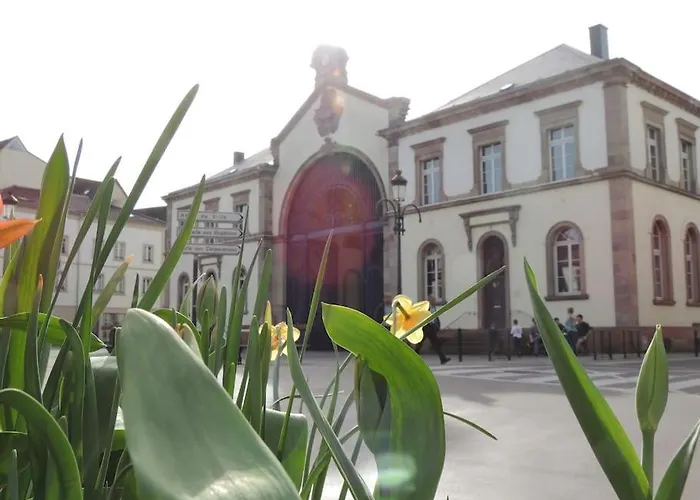 Nid Perche En Triplex - Centre - Wi-fi Apartment *